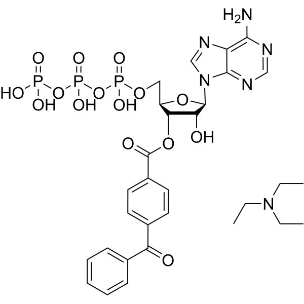 BzATP triethylammonium 112898-15-4